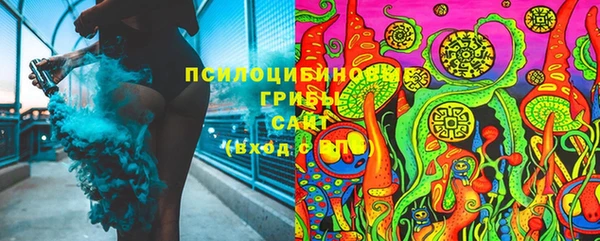 ГАЛЛЮЦИНОГЕННЫЕ ГРИБЫ Алзамай