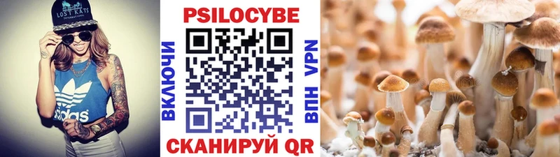 Псилоцибиновые грибы мицелий  Салехард 
